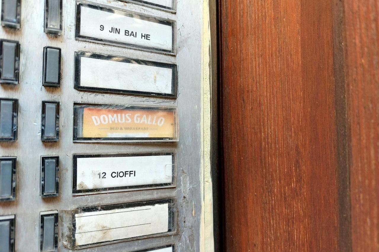 Domus Gallo Bed & Breakfast Roma